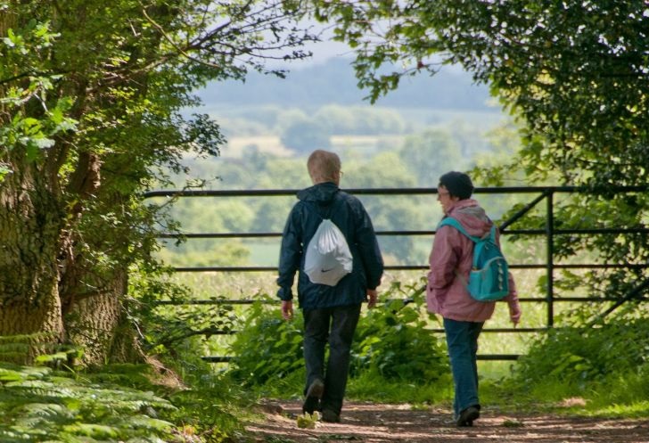 National Forest Walks